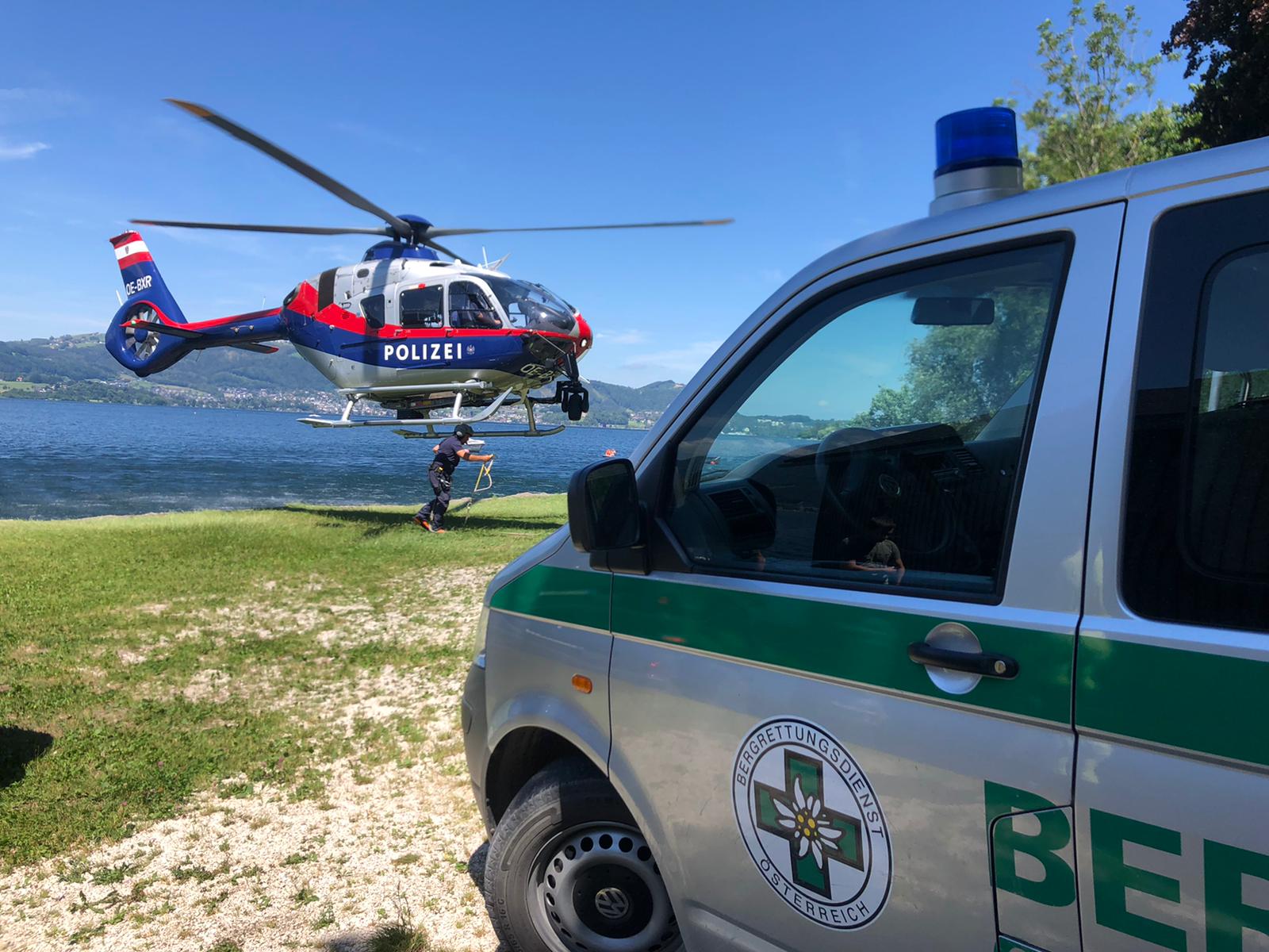 d785e36e-c42b-4703-9400-7e1dae272604