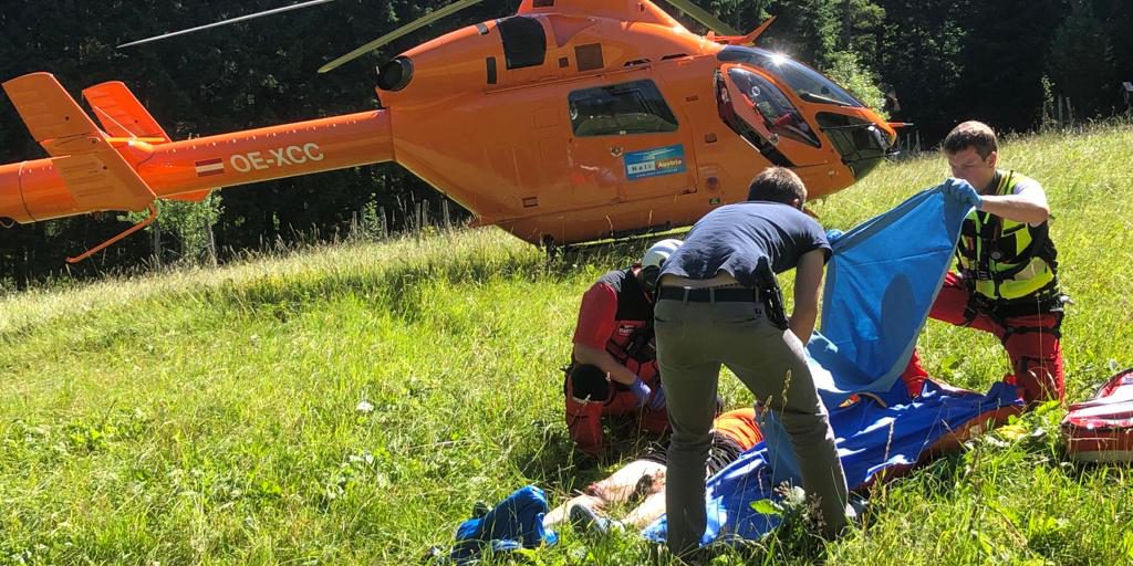 e9d2dc50-4455-4b0b-88ed-0ebd8c991265