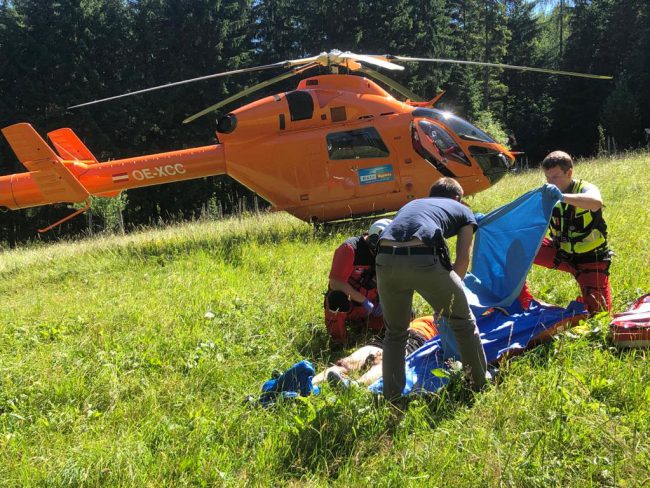 e9d2dc50-4455-4b0b-88ed-0ebd8c991265