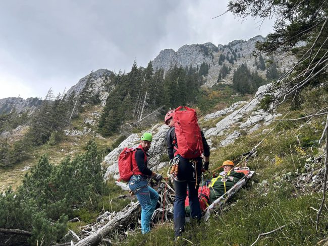 311017399_613801537199181_8578803237538008461_n